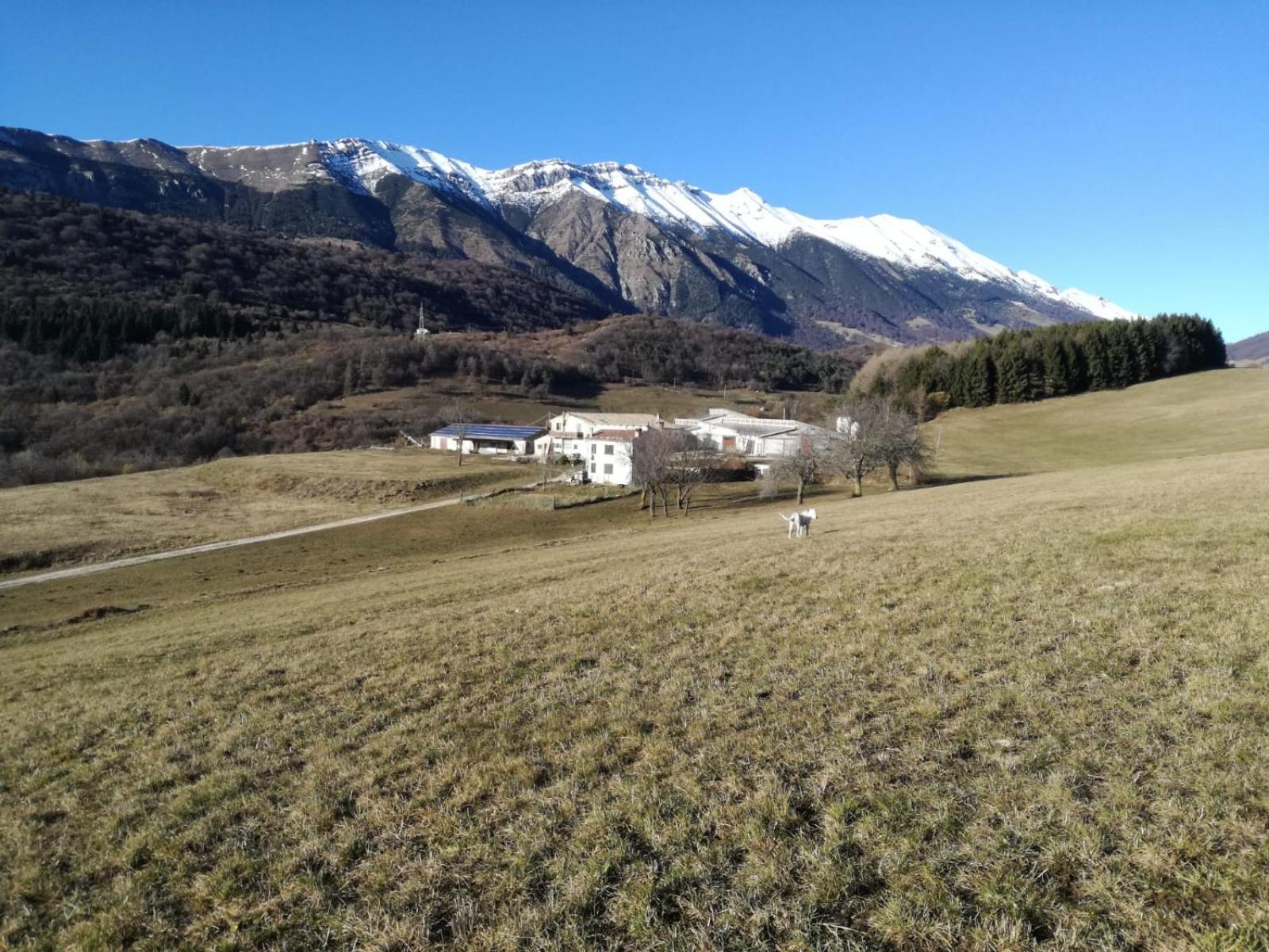 فيلا Agriturismo Preele Ferrara di Monte Baldo المظهر الخارجي الصورة