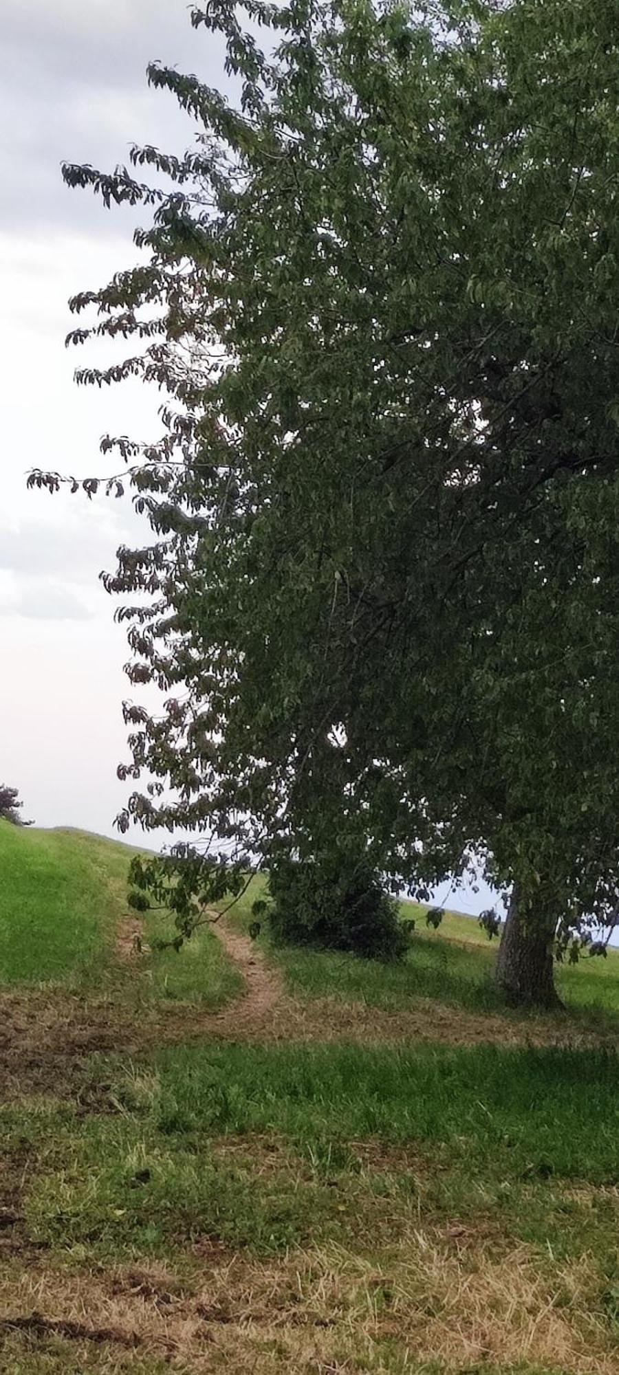 فيلا Agriturismo Preele Ferrara di Monte Baldo المظهر الخارجي الصورة